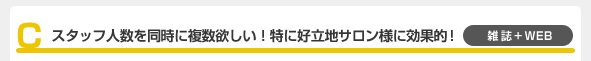 C スタッフ人数を同時に複数欲しい！特に好立地サロン様に効果的！ 雑誌＋WEB