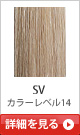 SV �J���[���x��14