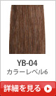YB-04 �J���[���x��6