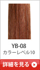 YB-08 �J���[���x��10
