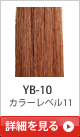 YB-10 �J���[���x��11