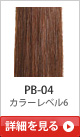 PB-04 �J���[���x��6