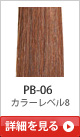 PB-06 �J���[���x��8
