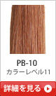 PB-10 �J���[���x��11