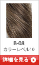 B-08 �J���[���x��10