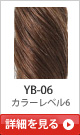 YB-06 �J���[���x��6