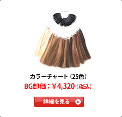 �J���[�`���[�g�i25�F�j�@BG�����F��4,320�i�ō��j