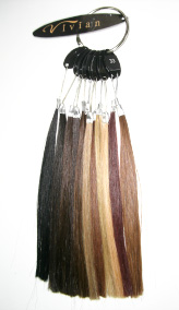 VIVIAN�G�N�X�e���V�����uViVi�v�p�J���[�`���[�g