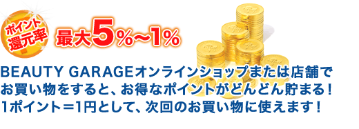 �|�C���g�Ҍ����ő�5���`1��