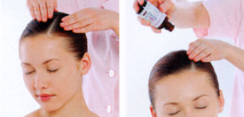 �|�[����V�F���[�̃X�L�����v���\�[�h �{�p�ʐ^