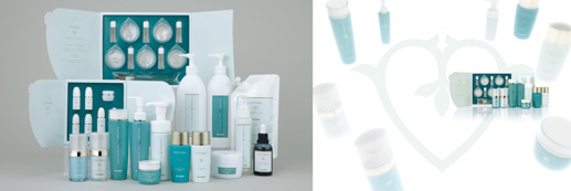 �r�Z�v�^�[�E�X�e�t�@���V���[�Y ���C���i�b�v�ʐ^