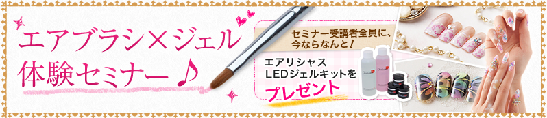 �G�A�u���V�~�W�F���̌��Z�~�i�[