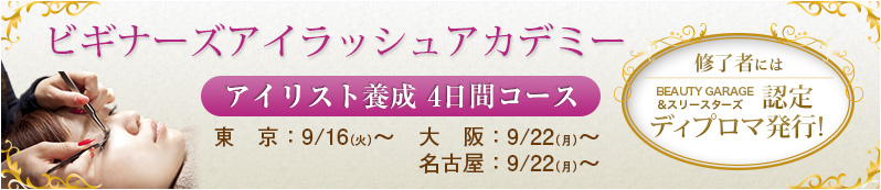 �r�M�i�[�Y�A�C���b�V���A�J�f�~�[