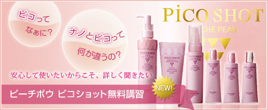 ���S���Ďg���������炱���A�ڂ������������@�s�[�`�|�E �s�R�V���b�g�����u�K