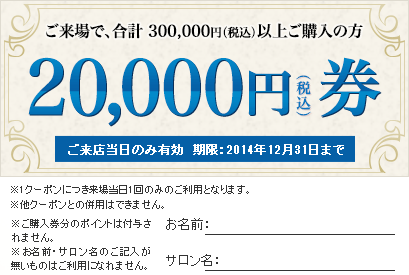 �V���[���[��������ŁA���v 300,000�~�i�ō��j�ȏゲ�w���̂��q�l�u20,000�~���v