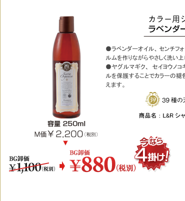 L&R �V�����v�[�y�J���[�w�A�p�z