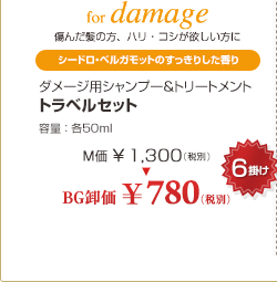 �_���[�W�p�V�����v�[���g���[�g�����g �g���x���Z�b�g