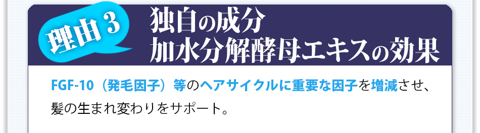 ���R3�F�Ǝ��̐��� ���������y��G�L�X�̌���