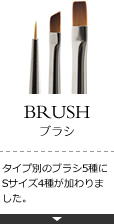 BRUSH/�u���V