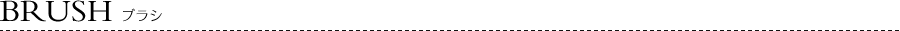 BRUSH/�u���V