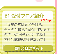 B1 ��t�t���A�Љ�