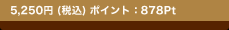 5,250�~(�ō�)�@�|�C���g�F878Pt