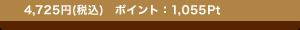 4,725�~�i�ō�)�@�|�C���g�F1,055Pt