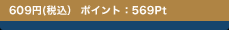 609�~(�ō��j�|�C���g�F569Pt