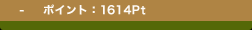 �@-�@  �|�C���g�F1614Pt