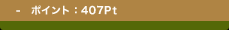  - �|�C���g�F407Pt