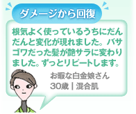 �_���[�W�����