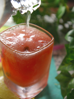 �X�C�J�ƃA���G�̃X�J�b�V��