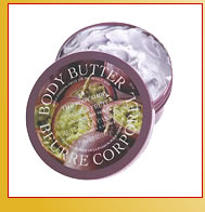 �U�E�{�f�B�V���b�v�^�{�f�B�o�^�[