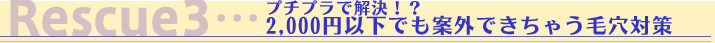 Resucue3�@�v�`�v���ŉ����I�H 2,000�~�ȉ��ł��ĊO�ł����Ⴄ�ь��΍�