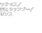 �x�X�g�R�X���@�T�N�Z�X�^��p�V�����v�[�^�����X