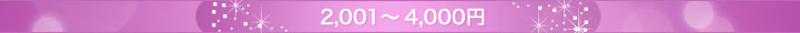 2,001�`4,000�~