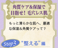 �p���P�A&�ێ��Ŗڎw���I �ь����X�� �����Ɛ��炩�Ȕ��ցA�œK�ȕێ�&�p���P�A���āH�@Step3 �g������h��