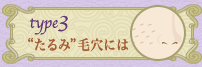 type3 �g����݁h�ь��ɂ�