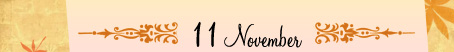 11 November