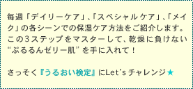 ���T�u�f�C���[�P�A�v�A�u�X�y�V�����P�A�v�A�u���C�N�v�̊e�V�[���ł̕ێ��P�A���@�����Љ�܂��B����3�X�e�b�v���}�X�^�[���āA�����ɕ����Ȃ��g�Ղ���[���[���h����ɓ���āI���������w���邨������x��Let's �`�������W��