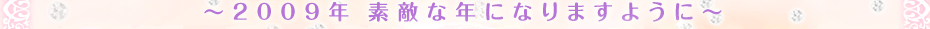 �`2009�N �f�G�ȔN�ɂȂ�܂��悤�Ɂ`