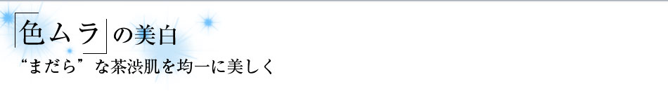 �u�F�����v�̔����@�g�܂���h�Ȓ��a�����ψ�ɔ�����