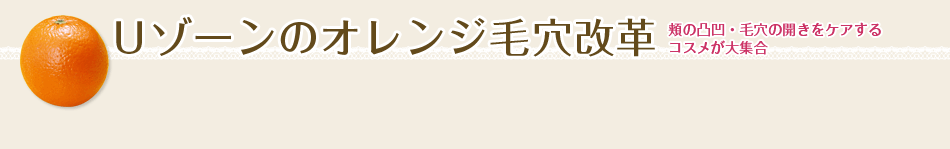 �t�]�[���̃I�����W�ь����v�@�j�̓ʉ��E�ь��̊J�����P�A����R�X������W��