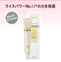 ���C�X�p���[No.11(R)�̗͂�����