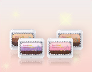 �L�������C�N �^ �O���f�[�V�����E�B���N