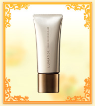 ���i�\��/�|�A�J�o�����O�x�[�X