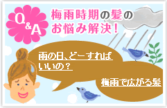 �~�J�����̔��̂��Y�݉����I