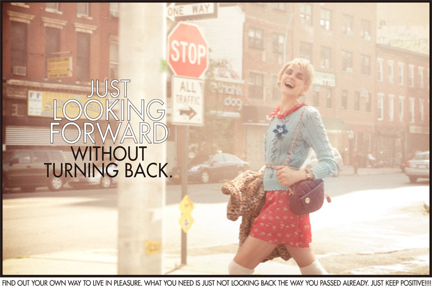 コレクション13