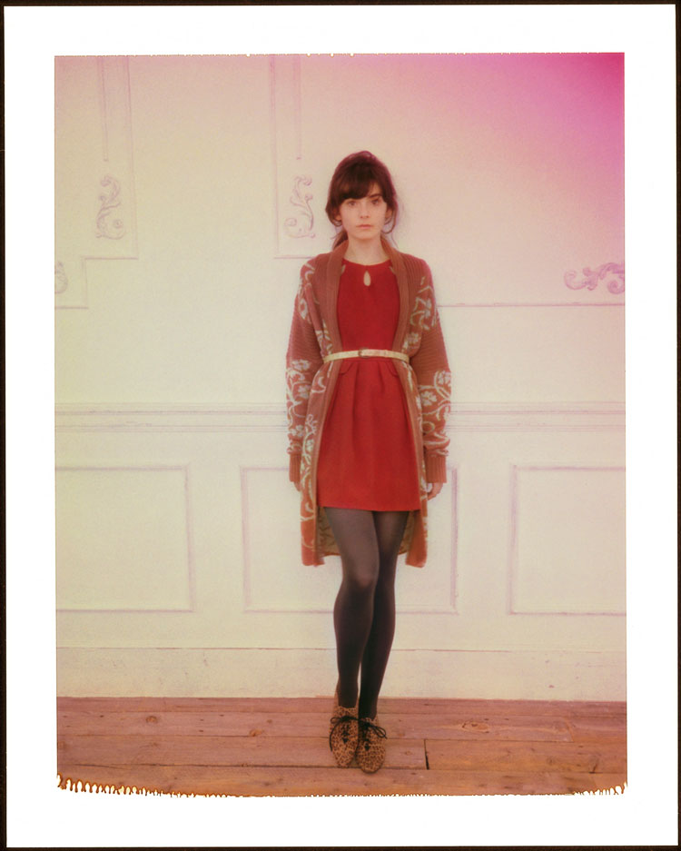 コレクション13