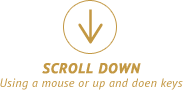 scrolldown